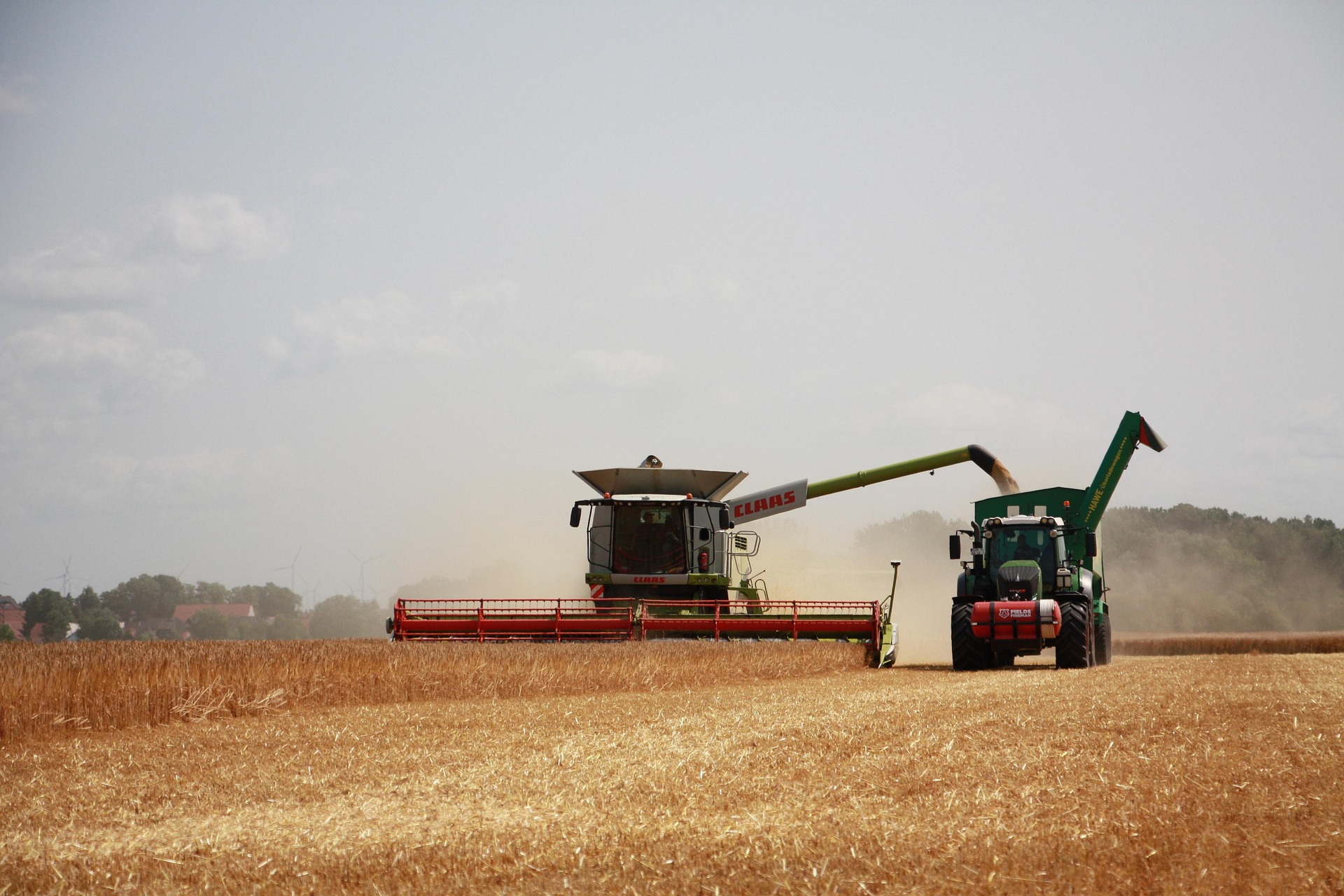 Erntefeld mit einem Mähdrescher und einem Traktor, der Erntegut abtransportiert. Staub wirbelt auf.